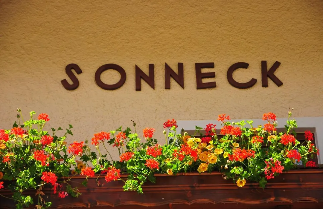 Chalet Sonneck-1